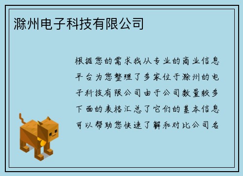 滁州电子科技有限公司